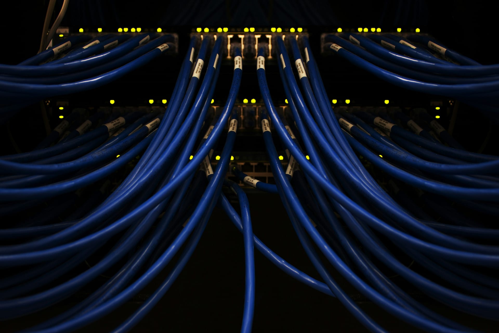 Organised Ethernet cabling connected to a network switch