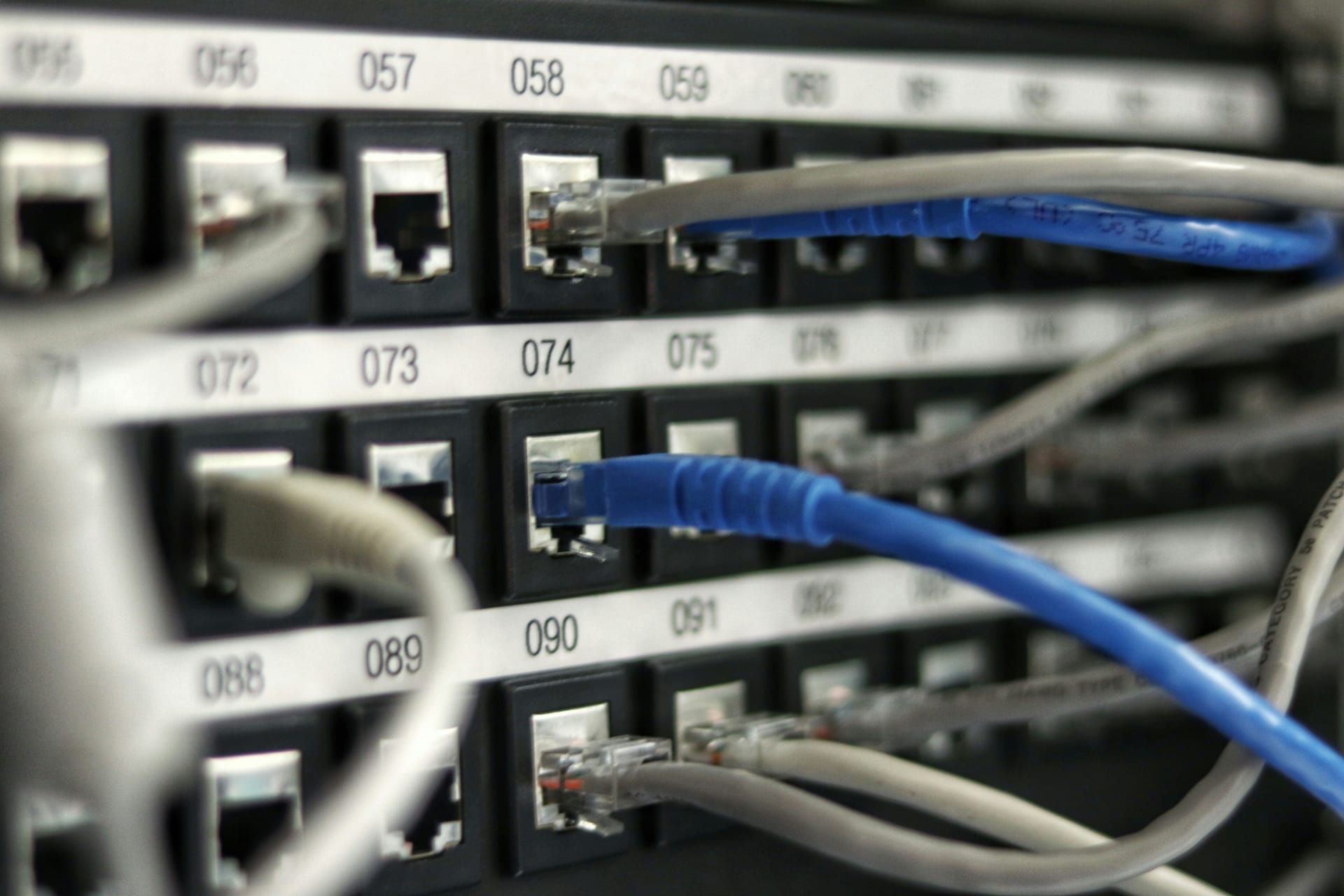 Ethernet cables connected to numbered patch panel ports