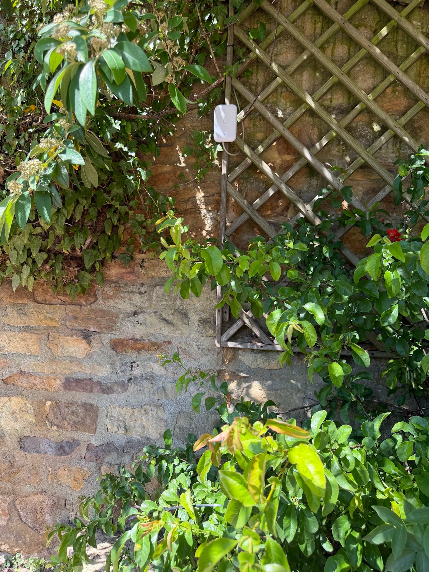 The outdoor access point mounted near the charging area.