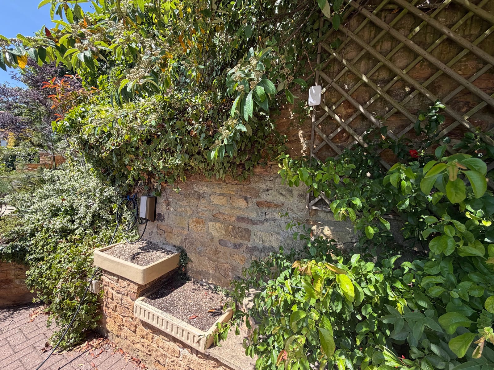 A wider view of the outdoor access point location.