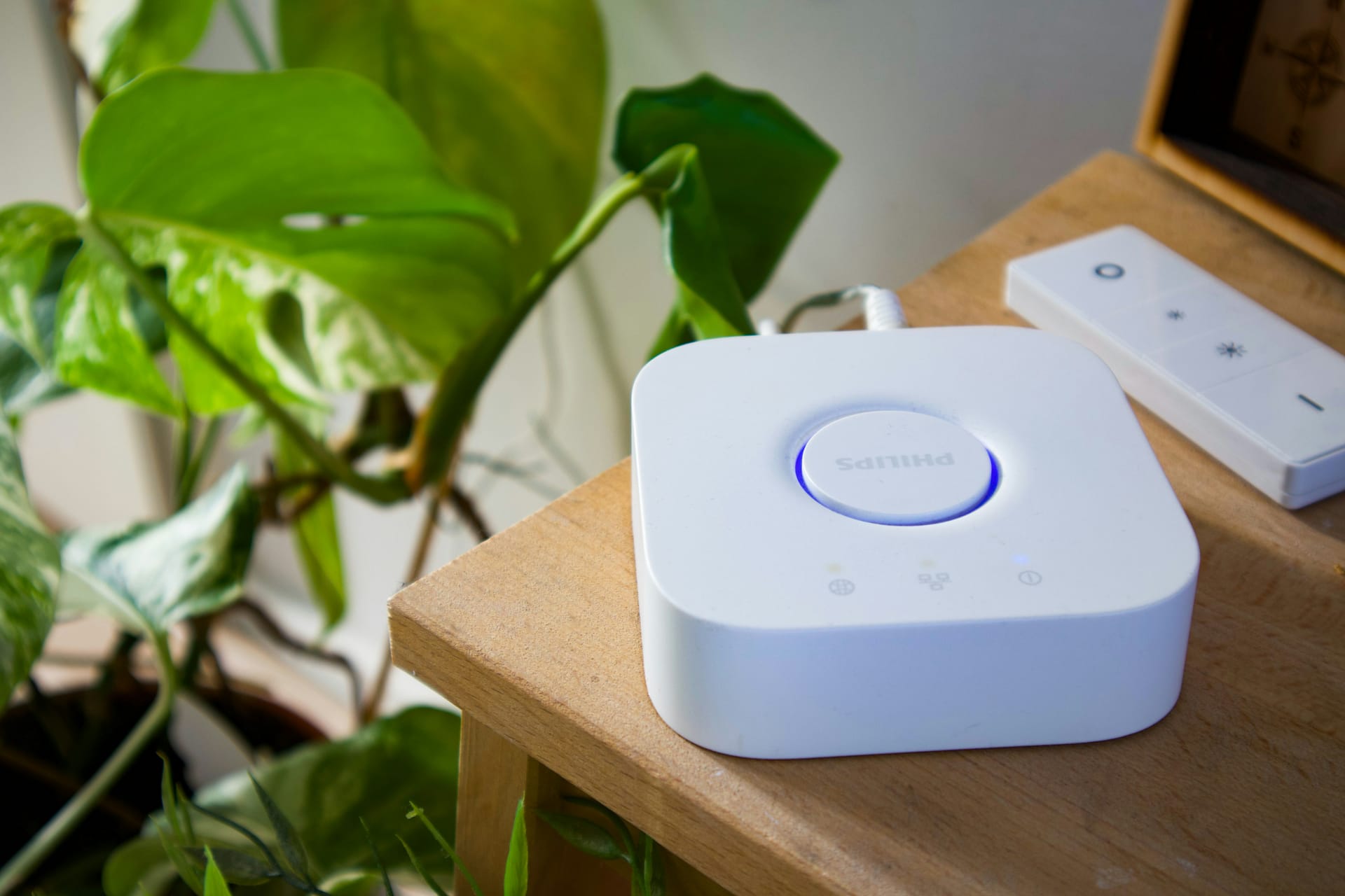 A connected home lighting hub beside a plant